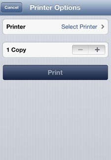 Select printer option screen